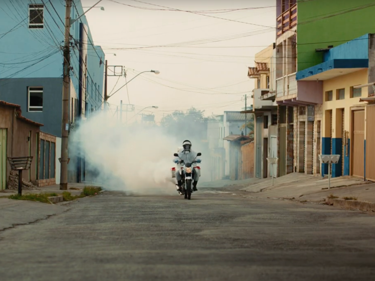 5.3 Dengue: a doença que atormenta o Brasil há décadas